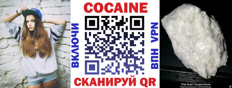 где можно купить   Заводоуковск  Cocaine VHQ 