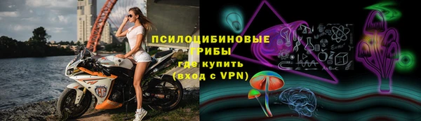эйфоретик Дмитров