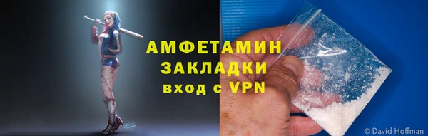 СК Дмитровск