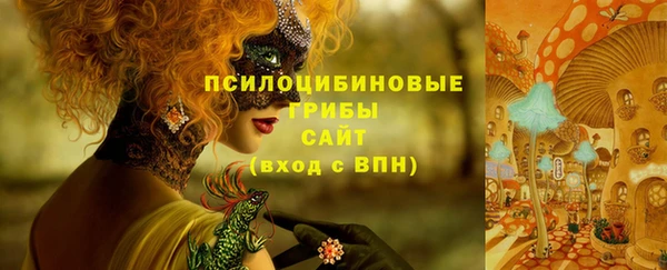 СК Дмитровск