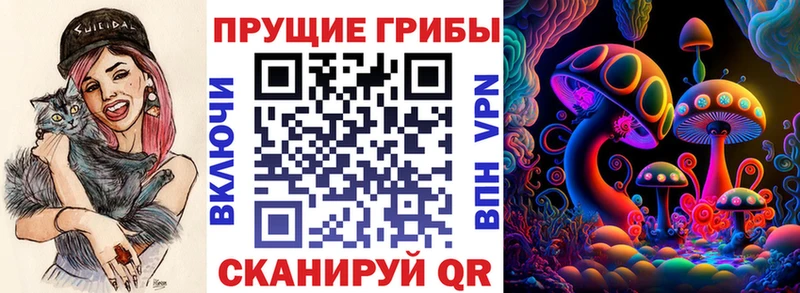 Псилоцибиновые грибы GOLDEN TEACHER  Заводоуковск 