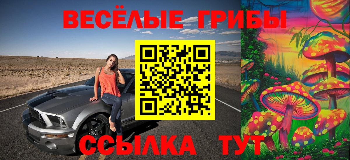 Alpha PVP СОЛЬ   Заводоуковск  Вход с VPN  Гашиш  Мефедрон   Бошки Шишки 